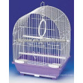 Live Bird Cage, hermosa jaula de pájaros, jaula plegable para pájaros